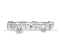 PRASCO DS8181013 Supporto, Paraurti