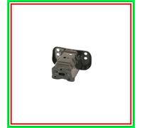 PRASCO Supporto, Paraurti TY3251004