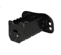 Staffa paraurti BLIC 5504-00-8155931P per TOYOTA YARIS (_P9_) 1 2005-2011