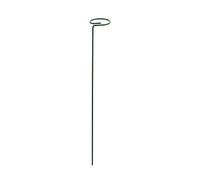 Staffa per palo per piante Fiori di rosa Verdure Vite Rampicata Rod Rack Per Casa Giardino Agricoltura Piantare Crescere verso l'alto Supporti per piante