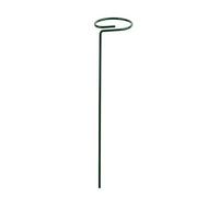 Staffa per palo per piante Fiori di rosa Verdure Vite Rampicata Rod Rack Per Casa Giardino Agricoltura Piantare Crescere verso l'alto Supporti per piante