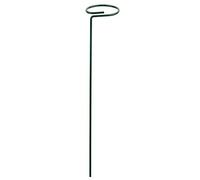 Staffa per palo per piante Fiori di rosa Verdure Vite Rampicata Rod Rack Per Casa Giardino Agricoltura Piantare Crescere verso l'alto Supporti per piante