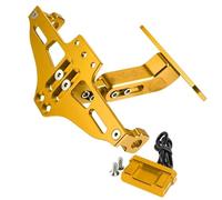 Staffa Portatarga Moto Compatibile Con Yamaha Per MT01 Per MT07 Per MT10 Supporto Per Targa Per Moto Supporto Per Targa Posteriore Per Moto