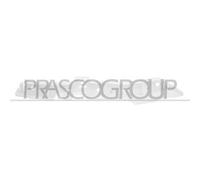 Staffa Sinistra Paraurti Anteriore Per CITROEN BERLINGO Dal 2018 LATO SINISTRO