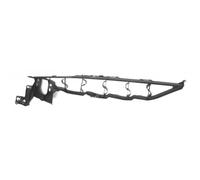 BLIC 7802-03-0096383P Supporto, Parafango