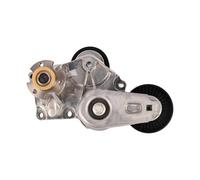 Staffa tendicinghia con Rullo Folle e Ventola con Cuscinetto per Land Rover Range Rover Sport LR4 LR035556 Cinghia di Trasmissione