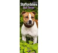 Staffordshire Bull Terrier Slim 2026 Calendar | Slimline Wall Calendar | Dog Breed Gift | Plastic Free Packaging | by Avonside Publishing