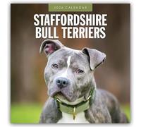 Staffordshire Bull Terriers - Staffordshire Bullterrier 2026 - 16-Monatskalender: Original Red Robin Publishing Ltd-Kalender [Mehrsprachig] [Kalender]