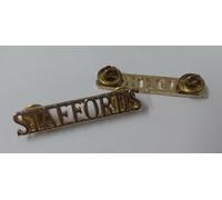 Staffordshire Reggimento Insignia Titolo Distintivi Scatto Pin Vera British Army