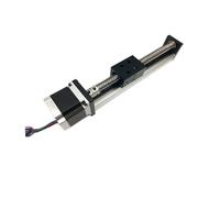 Stage effective stroke 150/200mm Linear Guide Rail Actuator System Module(SFU1605-150mm)