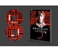 Stage play "Bungo Stray Dogs STORM BRINGER" [DVD NUOVO