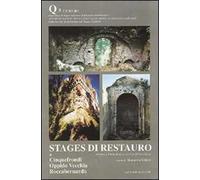 Stages di restauro. Cinquefrondi, Oppido Vecchia, Roccabernarda. Ricerca e formazione a servizio del territorio. Quaderno. Vol. 3