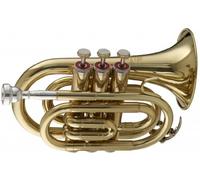 Stagg WS - TR245 - Tromba tascabile in Sib con custodia, 15,2 x 7,6 x 20,3 cm