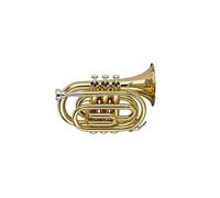 Stagg WS-TR245S - Tromba tascabile