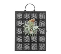 Staghorn Farn Montage - Porta per corna di cervi, piastra per platycerium - Tavoletta di assemblaggio decorativo in PP e ferro, ideale per le piante da arrampicata, orchidee, interni, balcone, soggior