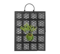 Staghorn - Tavola con felce, 22 x 16 cm, cornice da parete per orchidee, montaggio semplice con design elegante, decorazione per la casa per giardino, interni, esterni, uffici, dormitorio, sonno