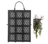 Staghorn - Tavola da parete a distanza verticale per piante, montaggio su orchidee, per interni ed esterni, soggiorno, balcone, ufficio