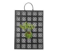 Staghorn - Tavola da parete a forma di fiore, verticale, per piante, in platicero orchidee, montaggio per giardino, interni, esterni, uffici, dormitori, camera da letto, balcone