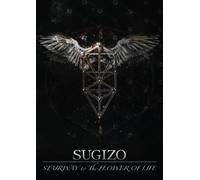 STAIRWAY TO THE FLOWER OF LIFE