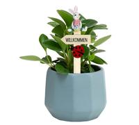 Stake Da Giardino Pasquali - Simpatici Coniglietti Pasquali in Resina | Decorazioni per Vasi e Fioriere | Per Verande Cortile Feste E La Festa Di Primavera