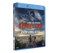 Stake land