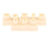 Stakee 8 Pezzi di Modello di Prova per Studenti di Odontoiatria Posteriore, Otturazione in Resina Composita, Denti, Mascella, Attrezzatura per Odontoiatria