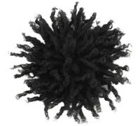 Stakee Parrucca Uomo con Dreadlock, Parrucca Sintetica Corta Afro Riccia Crespa con Clip, Trecce Sporche, per Uomo, Uso Quotidiano, Feste