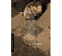 Stalker (The Criterion Collection) (DVD) Alisa Freyndlikh Aleksandr Kaydanovskiy
