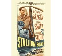 Stallion Road DVD 1947 Alexis Smith, Peggy Knudsen, Zachary Scott, Ronald Reagan
