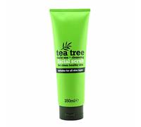 Stalwart 163363-ITP - Scrub viso per albero del tè, 250 ml