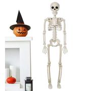 STAMETRO Umano STANDE - Modello di Anatomia delle Dimensioni della Vita, Display della Struttura Ossea Mobile | Prop di Scheletro Realistico Durevole, Assistenza All'insegnamento in Classe per L'