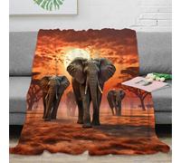 stampa 3D African elephants coperta da riposo microfibra biancheria da letto morbida plaid da riposo caldo e traspirante lavabile in lavatrice per relax Safari wildlife scena 80×90inch(200x230cm)