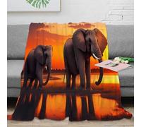 stampa 3D African elephants coperta per tutte le stagioni microfibra biancheria da letto lavabile coperta versatile morbida per regali per ogni stagione sunset wildlife scena 70×80inch(180x200cm)