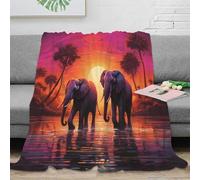 stampa 3D African elephants plaid da camera da letto microfibra biancheria da letto soffice coperta in pile anti-pilling lavabile in lavatrice per camera sunset landscape arte 70×80inch(180x200cm)