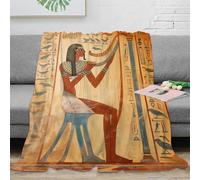 stampa 3D Ancient Egyptian coperta da letto biancheria da letto morbida traspirante coperta in pile termica lavabile in lavatrice per tutta la famiglia artistico hieroglyphic 80×90inch(200x230cm)