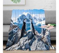 stampa 3D Antarctic penguins coperta microfibra biancheria da letto lavabile in lavatrice plaid anti-pilling per studenti fuori sede Wildlife nature scena 50x60inch(127x152cm)