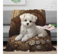 stampa 3D Carino bianco c coperta in pile microfibra biancheria da letto non perde pelo coperta da letto calda per giovani in camera da letto Luxury ornate chair 40x50inch(100x130cm)