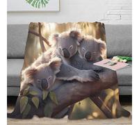stampa 3D Carino koala trio coperta da ufficio microfibra biancheria da letto non perde pelo coperta da riposo calda per regali per professionisti Nature wildlife scena 60x80inch(150x200cm)