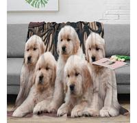 stampa 3D GoldenPuppies coperta da pisolino microfibra biancheria da letto morbida e calda coperta da riposo lavabile in lavatrice per chi ama il comfort CutePetBreedStyle 70×80inch(180x200cm)