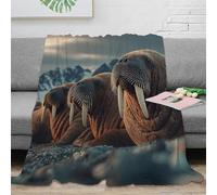 stampa 3D Walrus trio coperta per aria condizionata microfibra biancheria da letto morbida coperta per estate leggera per regali per vacanze estive Arctic wildlife scena 70×80inch(180x200cm)