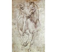 STAMPA ARTE-su-opaco-carta-220gr- Cavallo e Cavaliere Da Vinci Leonardo - Animali verticali Immagine animali cavalli Stampa artistica 29_X_18_in