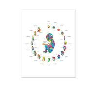 Stampa Artistica Astratta Ad Acquerello Sullo Sviluppo Del Feto In Gravidanza, Poster, Embrione, Biologia, Arte Medica, Dipinto Su Tela, Ostetrico, Decorazione Da Parete, Formato A5 50X70Cm Senza Tela