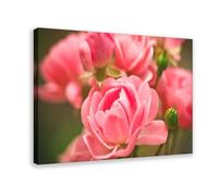 Stampa artistica da parete con rose rosa, giardino, sfocatura, primo piano, guarigione dell'umore, stampa artistica da parete, per soggiorno e camera da letto, 40 x 60 cm
