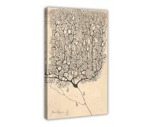 Stampa artistica da parete su tela con disegno di Neuron di Santiago Ramón Y Cajal, decorazione per camera da letto, ufficio, cucina, cornice regalo, 40 x 60 cm