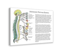 Stampa artistica da parete su tela, motivo: chiropractic at an autonomic nervous system health clinic, decorazione artistica da parete per soggiorno e camera da letto, 60 x 90 cm
