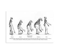 Stampa artistica da parete su tela, motivo: evoluzione umana marzo, storia naturale, decorazione artistica da parete per soggiorno e camera da letto, 50 x 75 cm