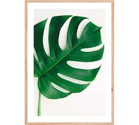 Stampa con cornice Solo green rovere 30x40 cm Rovere