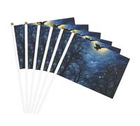 Stampa del cielo notturno Palmare Bandiera Pole Bandiere portatili Decor Eventi Versatile Uso Gruppo Attività