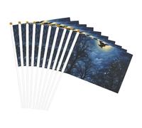 Stampa del cielo notturno Palmare Bandiera Pole Bandiere portatili Decor Eventi Versatile Uso Gruppo Attività
