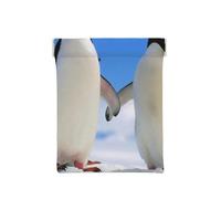 Stampa del pinguino, Spremere il portafoglio superiore da donna Borsa portaoggetti Piccola portamonete Portamonete
